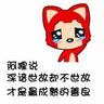 旅美大熊猫乐乐离世